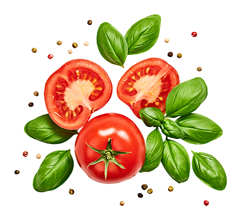 tomato-basil.png